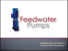 Feedwater Pumps