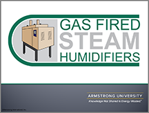 Gas Fired Steam Humidifiers